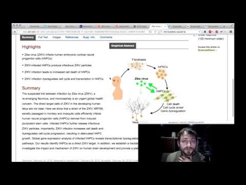 Zika virus fear mongering obliterated in 20 minutes